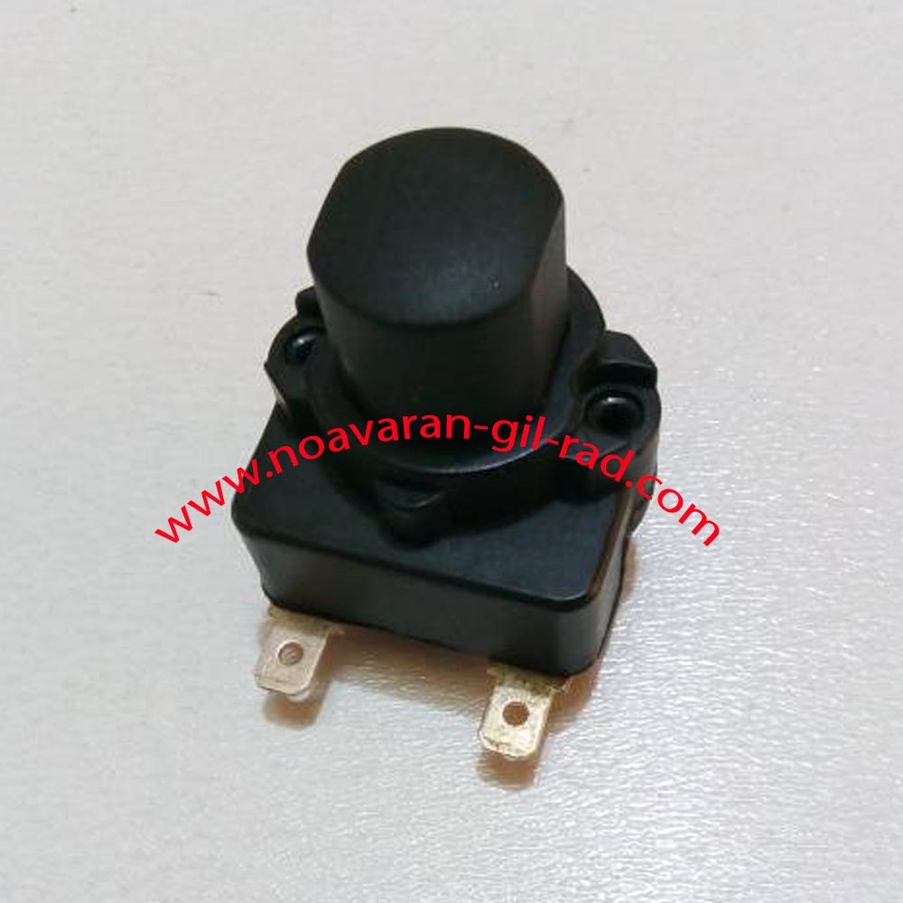 کلید جارو برقی الکترولوکس * سامسونگ