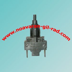 کلید 2 فیش حایر * اسنوا -